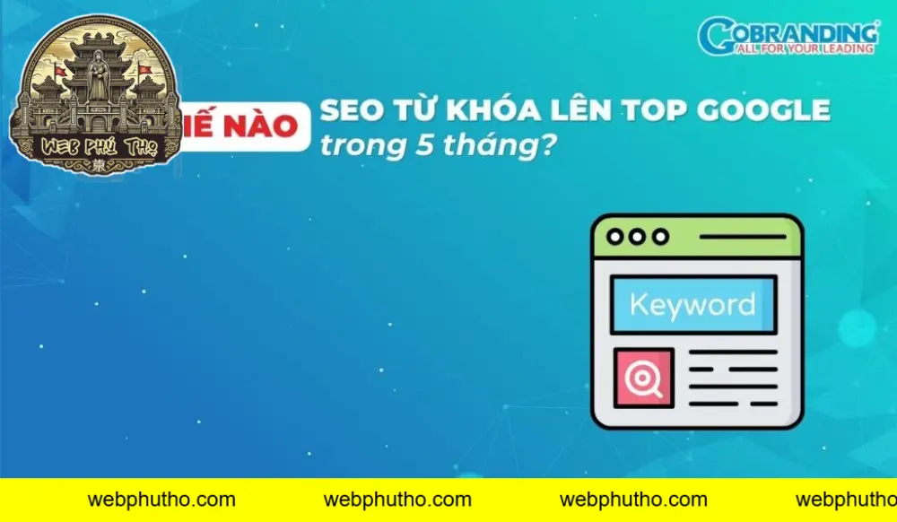 Các gói dịch vụ Backlink/Textlink tại WebPhuTho